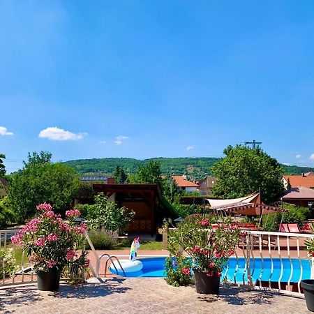 Andrea Pansio Bed & Breakfast Balatonfüred Екстериор снимка